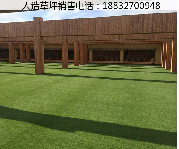 天河楼顶人造草坪价格查询广平