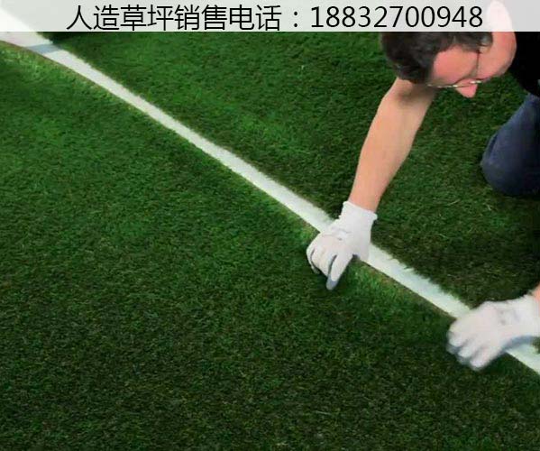 庆云塑料草坪的价钱涞源