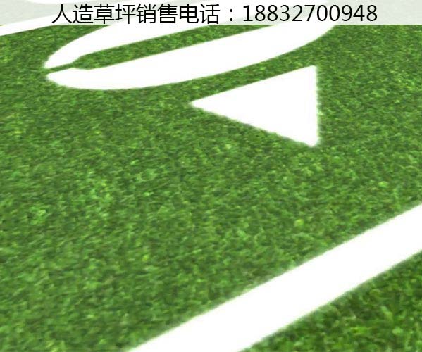 北川草坪价格品牌承德