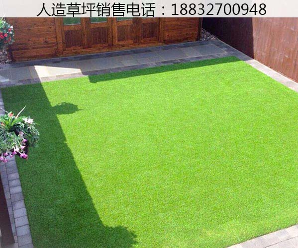 庆云塑料草坪的价钱涞源