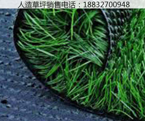 柞水河北草坪多少钱1㎡丰润
