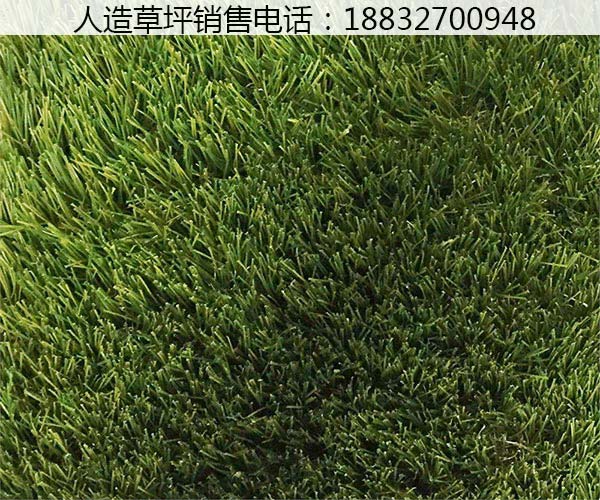 洞口屋頂綠化人造草坪每平米價格行唐