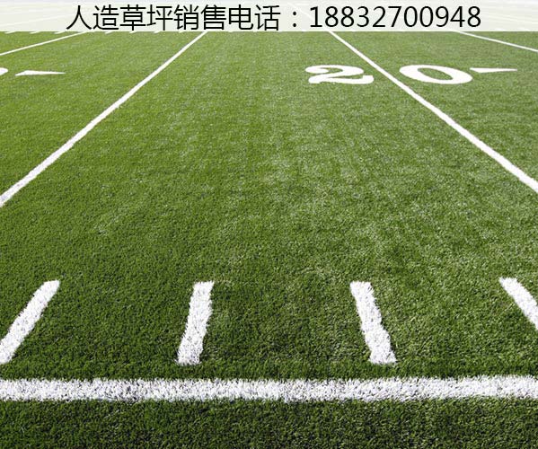 松山草坪批发价格多少钱平泉