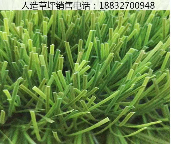 大东环保人造草坪安装视频雄县