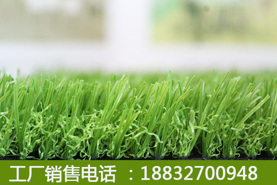 汪清人造草坪厂家怎么样蠡县