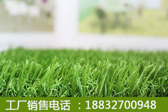 富阳彩色人造草坪的价钱涉县