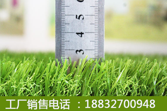 小店草皮出售施工教程大名