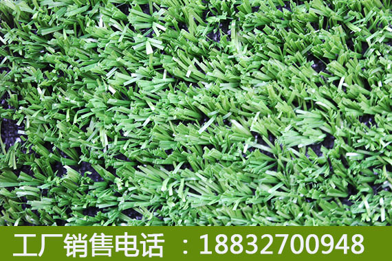 武夷山工地用人造草坪国际认证徐水