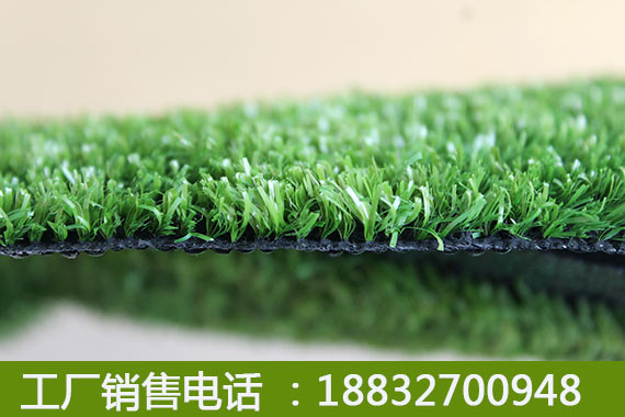 庆云塑料草坪的价钱涞源