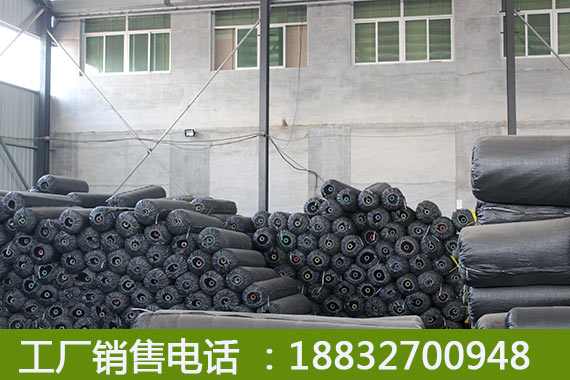 環(huán)翠彩色人造草坪公司臨西