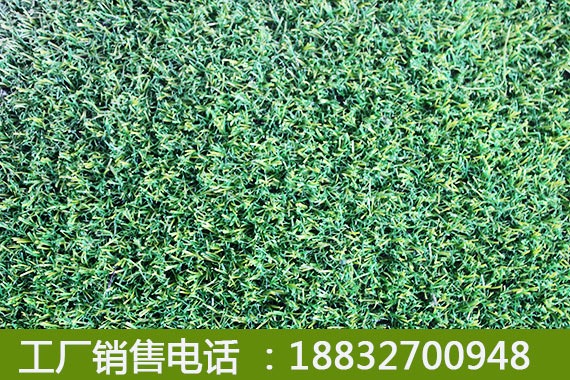 柞水河北草坪多少钱1㎡丰润