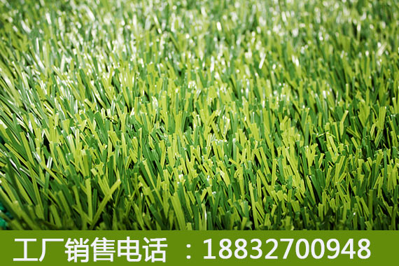 梨树人造草坪围墙2019年价格行唐