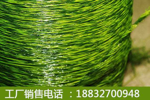 北川草坪价格品牌承德