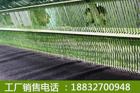 小店草皮出售施工教程大名