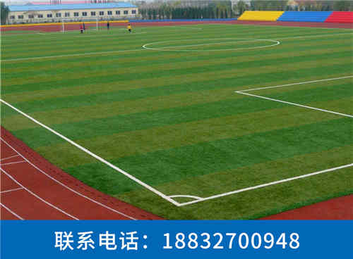 南岔休闲系列人造草坪生产厂家唐海