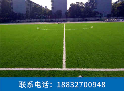 三都人造草坪足球场价格公道桥西
