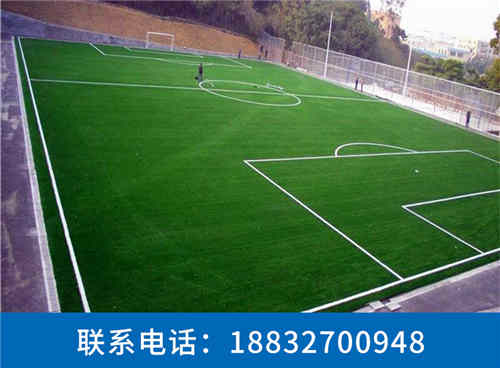 榕城草坪围栏价格价格表桃城