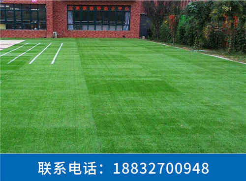 双柏球场人造草皮得多少钱鸡泽
