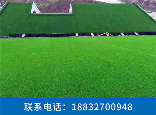 鹽都操場人造草坪的價格涿州