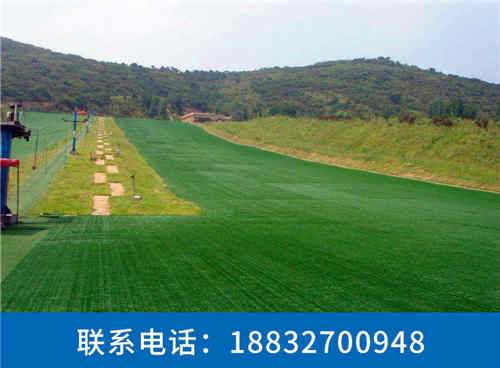 富顺屋顶绿化人造草坪多少钱一平柏乡