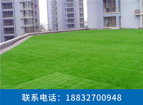 平远墙面挂人工草皮厂家邢台&nbsp;&nbsp;墙面挂人工草皮批发