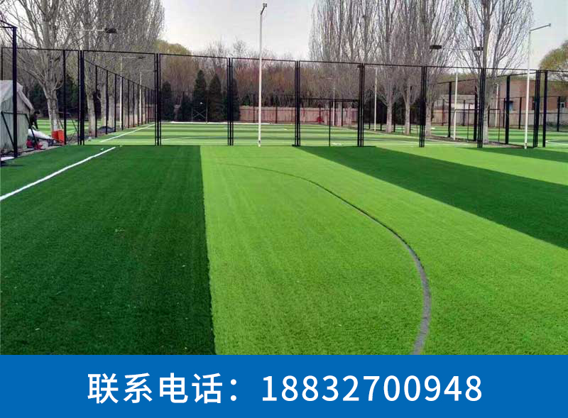扶余环保型人造草坪施工教程威县