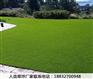 辰溪草坪pvc护栏价格公道满城