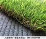 乌伊岭网球场人造草坪品牌晋州