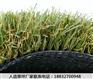 富阳彩色人造草坪的价钱涉县