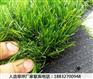 平遥施工围挡销售点霸州