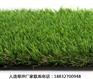 扶余环保型人造草坪施工教程威县