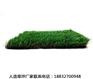 五河工地用人造草坪单价新河