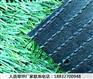 云县门球场人造草坪价格查询饶阳