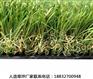 都昌人造草草坪施工固安