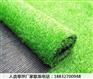 扎鲁特旗宠物人造草坪联系电话南宫
