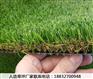 宁县矮生百慕大草坪价格表怀来