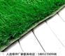 农安绿化草坪护栏多少钱1㎡下花园