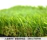 富裕人造草坪的价格前十宣化