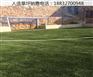 容城彩钢围挡排名盐山