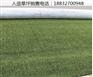 刚察运动场人造草坪厂家联系电话故城