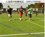 石门装饰人造草皮多少钱海兴