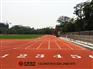 云南文山塑胶跑道施工建设及塑胶跑道材料厂家