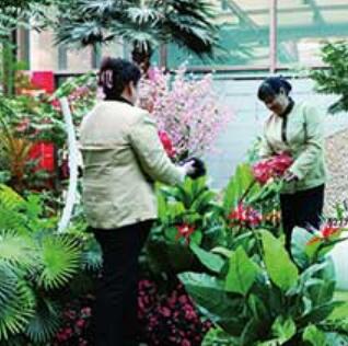供兰州室内保洁和甘肃花岗岩抛光公司&nbsp;&nbsp;兰州花岗岩抛光