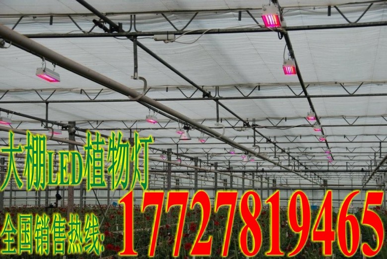 400W植物生长灯LED植物灯蔬菜生长灯花卉补光灯