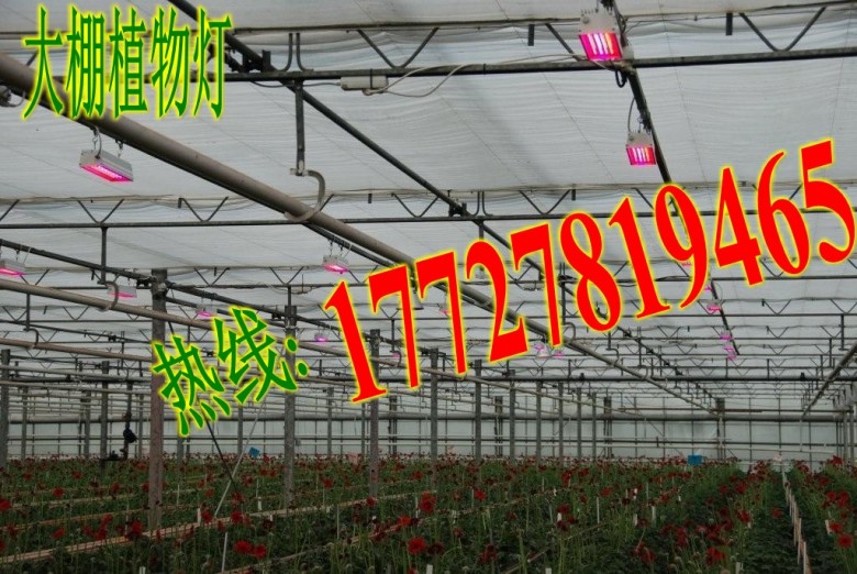 植物生长灯 led植物灯 植物生长灯管