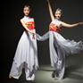 古典舞演出服女飘逸盛世鸿姿舞蹈演出服装广场舞服饰