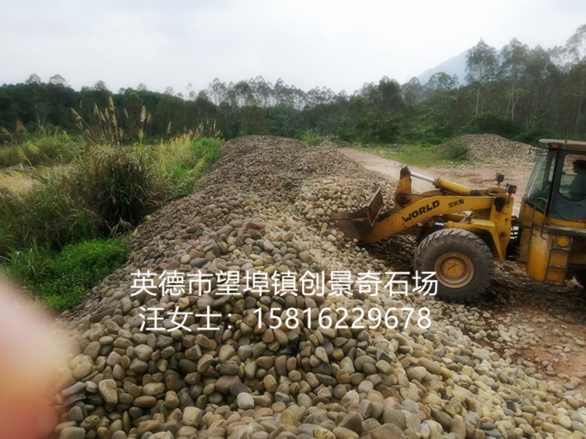 广东观赏石厂家批发 8至15公分天然鹅卵石  广东鹅卵石厂家