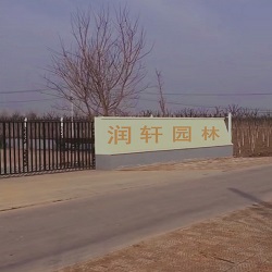 郓城县润轩苗木有限公司