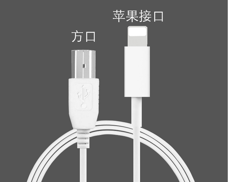 苹果iPad电子钢琴乐器智能OTG连接线,  转接头
