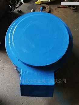 508真空压力释放阀 浙江厂家双金阀门有限公司供应  真空释放阀  压力真空释放阀
